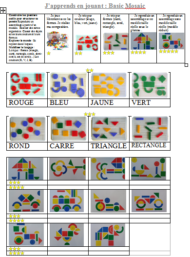 Brevet Basic Mosaic + feuille de route suivi