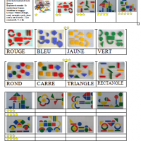 Brevet Basic Mosaic + feuille de route suivi