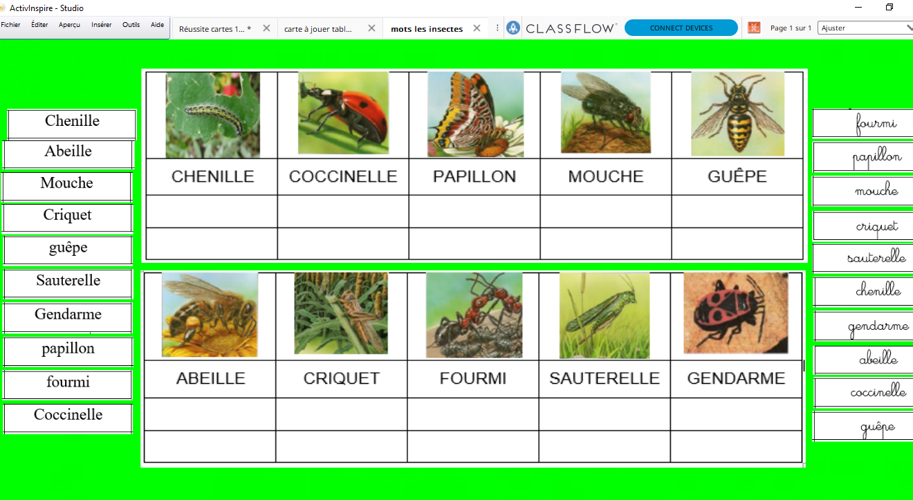 Mots insectes